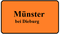 Flyerverteilung Münster
